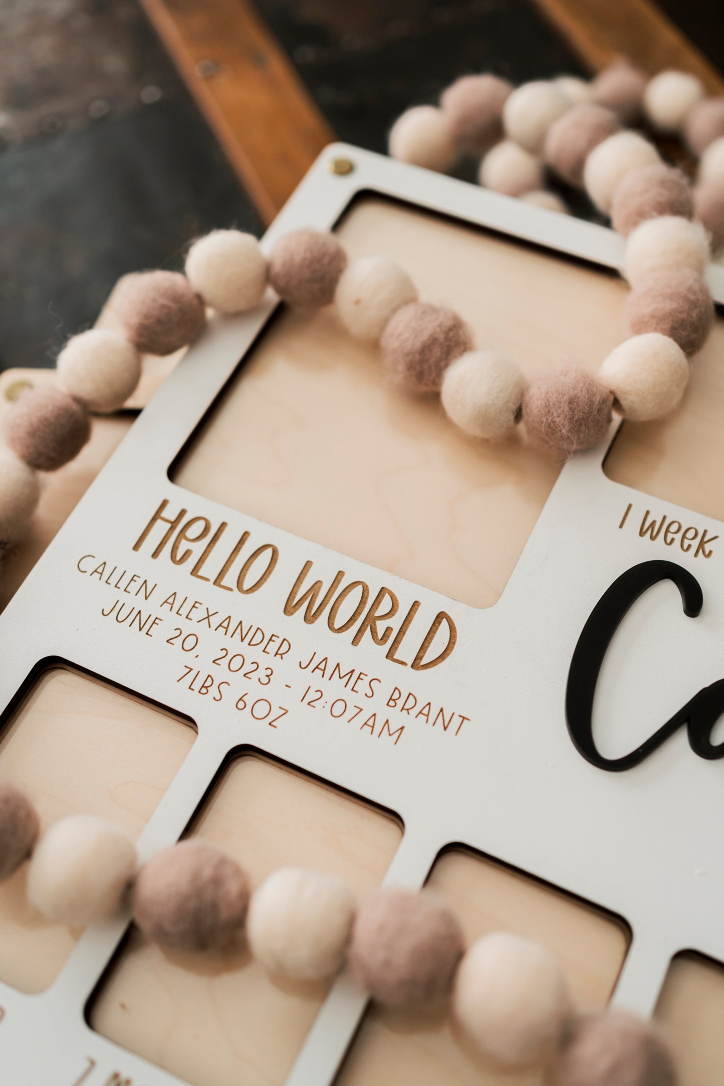 Hello World Baby's First Year Picture Frame
