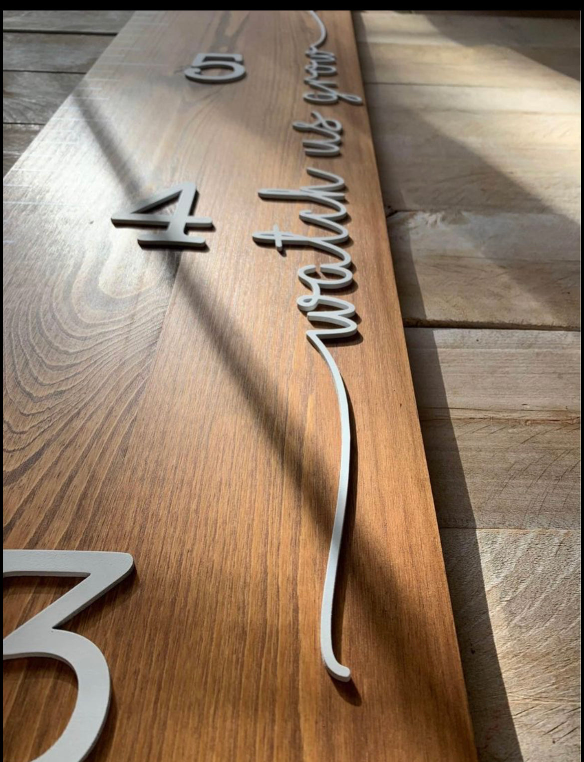 Customizable Growth Ruler